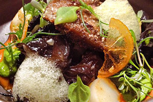 Abalone, Succulents, Pepperoni, Sea Froth