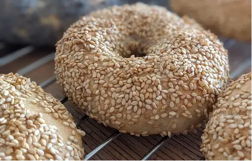 How To Toast A Bagel In The Microwave