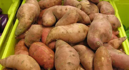 How To Reheat Sweet Potato